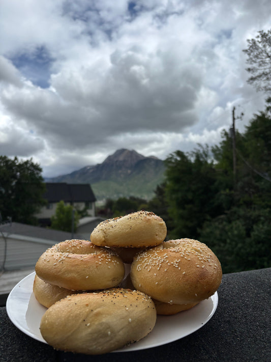 A dozen Bagels
